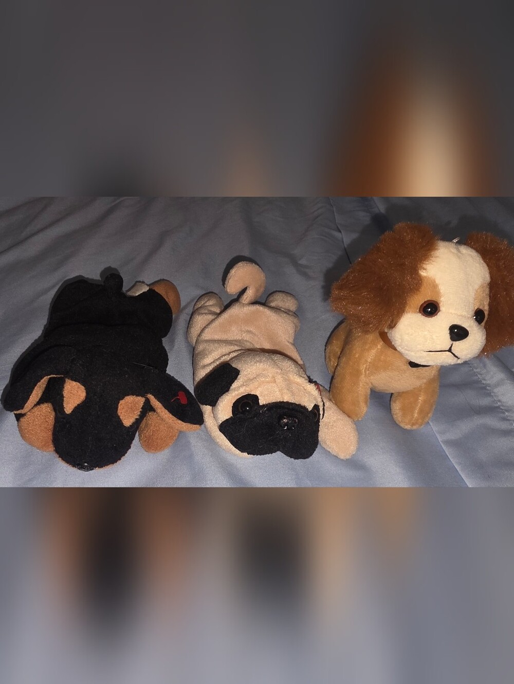 Plush Dog Toy Set - Black, Tan, Brown